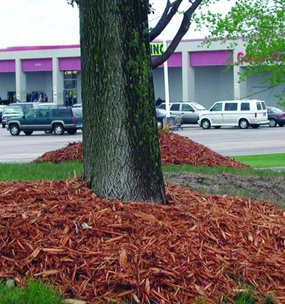 overmulching