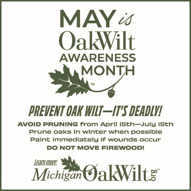 May is Oak Wilt Awareness Month graphic.