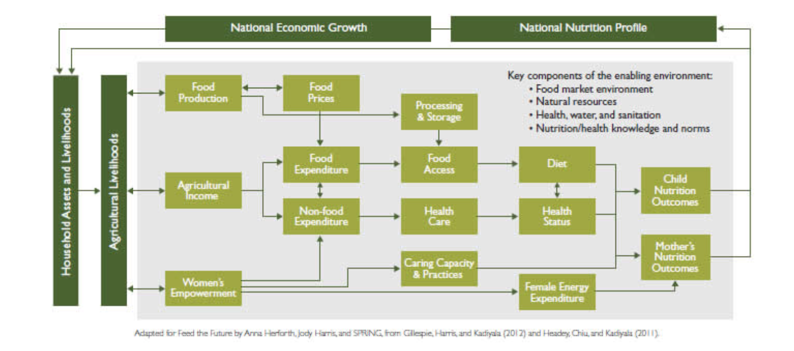 Conceptual Pathways between Agriculture and Nutrition