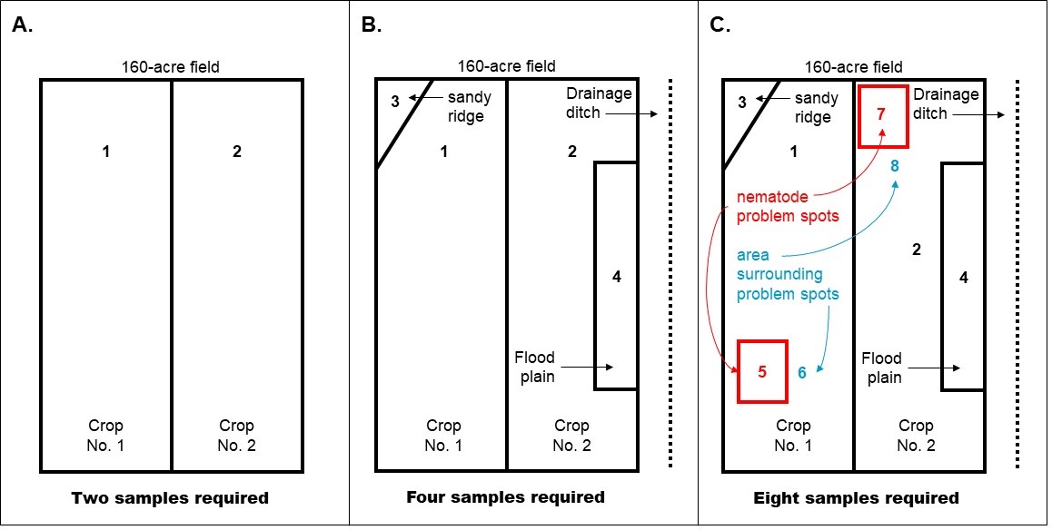 Diagrams of a field under three different hypothetical scenarios.