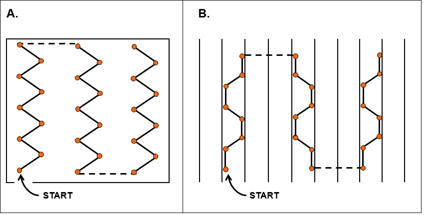 Diagrams of two different sampling schemes.