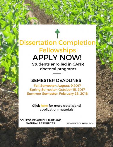 Dissertation completion fellowships