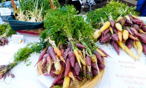 4H Carrots on Table for Sale