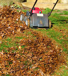 Leaf mulcher near a pile of leaves.