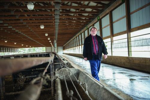 Paul Thompson, MSU professor of philosophy and Kellogg chair of agricultural, food and community ethics, walks through a cattle barn on campus. Thompson has found that most agriculture producers are willing to give up antibiotics as a growth promotant as long as they retain use to treat animal diseases.