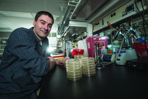 Christopher Waters, MSU assistant professor of microbiology and molecular genetics, is using his knowledge of chemical signaling to develop novel drugs that prevent bacteria from creating biofilms, an extra-cellular "shield" that makes them more tolerant to immune and antibiotic defenses. He believes that refueling the drug pipeline is a critical mission in need of continue research support.