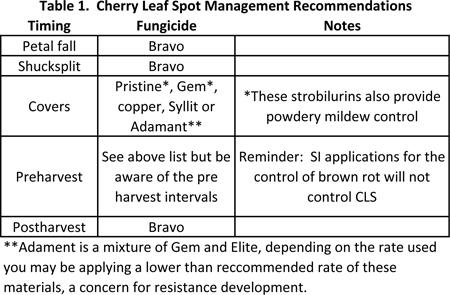 Cherry Leaf Spot Management Recommendations.