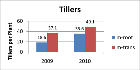 Tillers per Plant in 2009 and 2010.