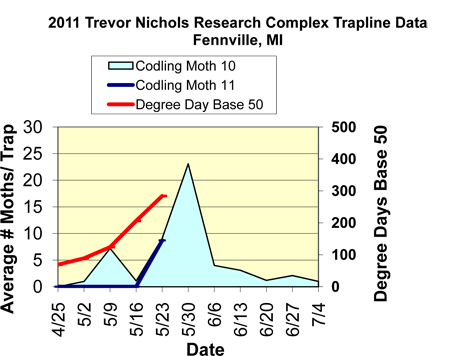 Graph displaying average number of moths caught per trap between 4-25 and 7-04.