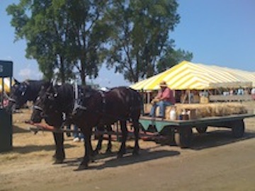 horsedrawn wagon