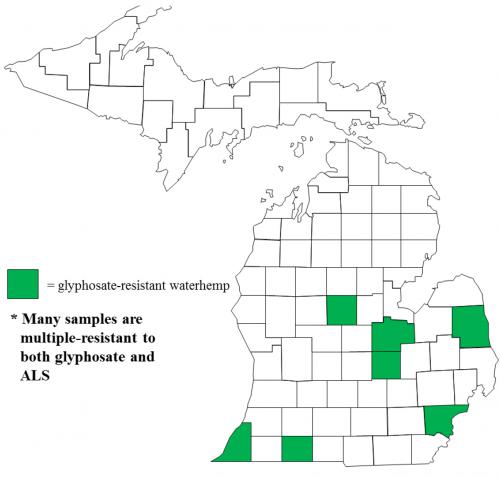 Map of Common waterhemp distribution in Michigan 