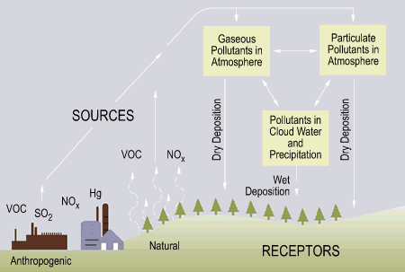 Diagram caption: This diagram shows the sources of contaminants that resulting acid rain.