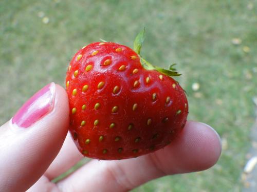 Strawberry shaped heart