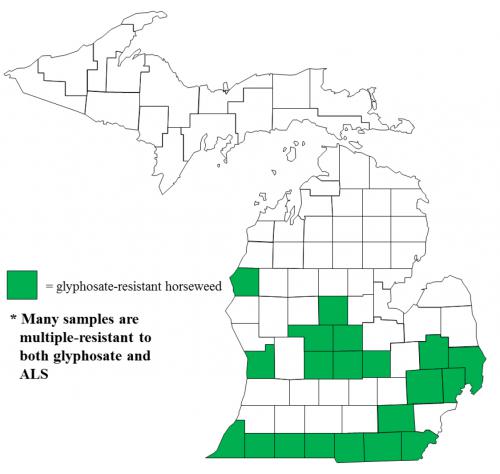 Map of Horseweed/marestail distribution in Michigan