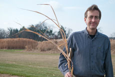 MSU AgBrioResearch, Stephen Hamilton