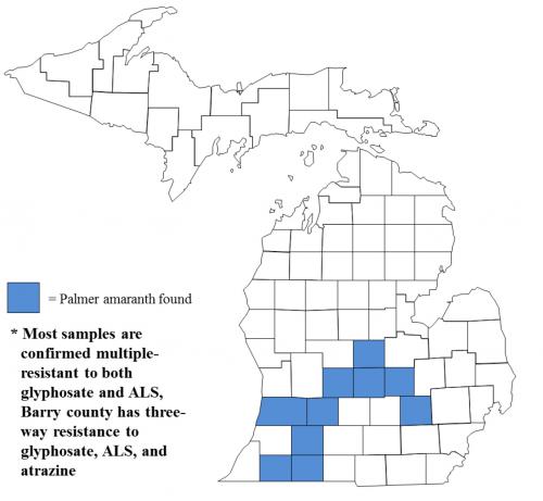 Map of Palmer amaranth distribution in Michigan