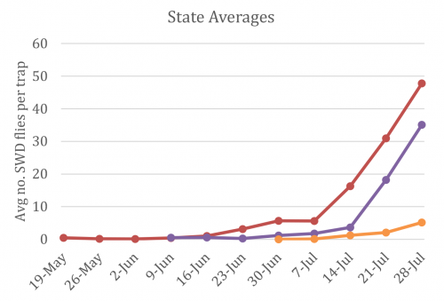 state averages