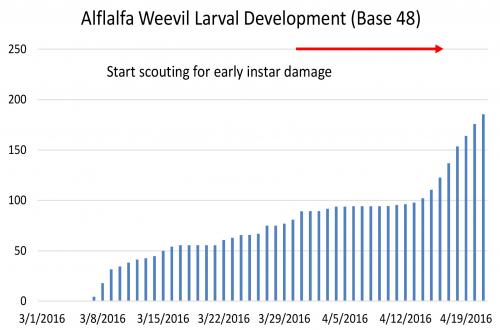 Alfalfa weevil graph