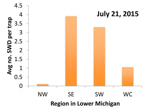 Graph of SWD caught in traps in Michigan