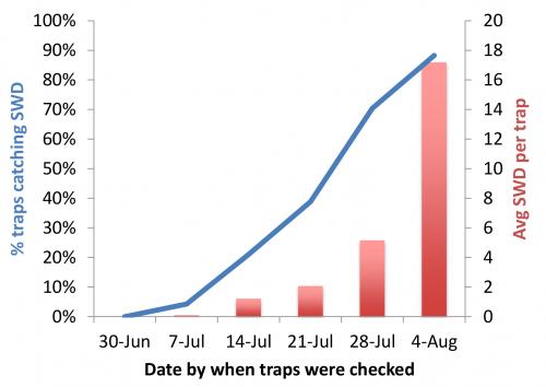 SWD trap data graph