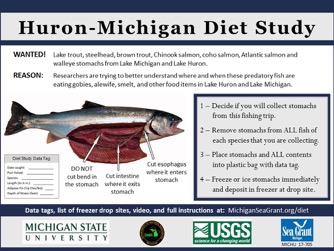 a poster describes the Fish Diet study stomach collection process