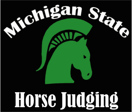 Learn more about how MSU Horse Judging teams have been a staple of the MSU Horse Program for decades.