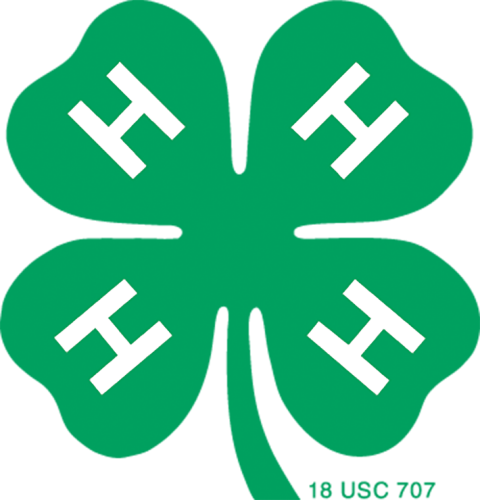 4-H_Emblem_CMYK-347green_large