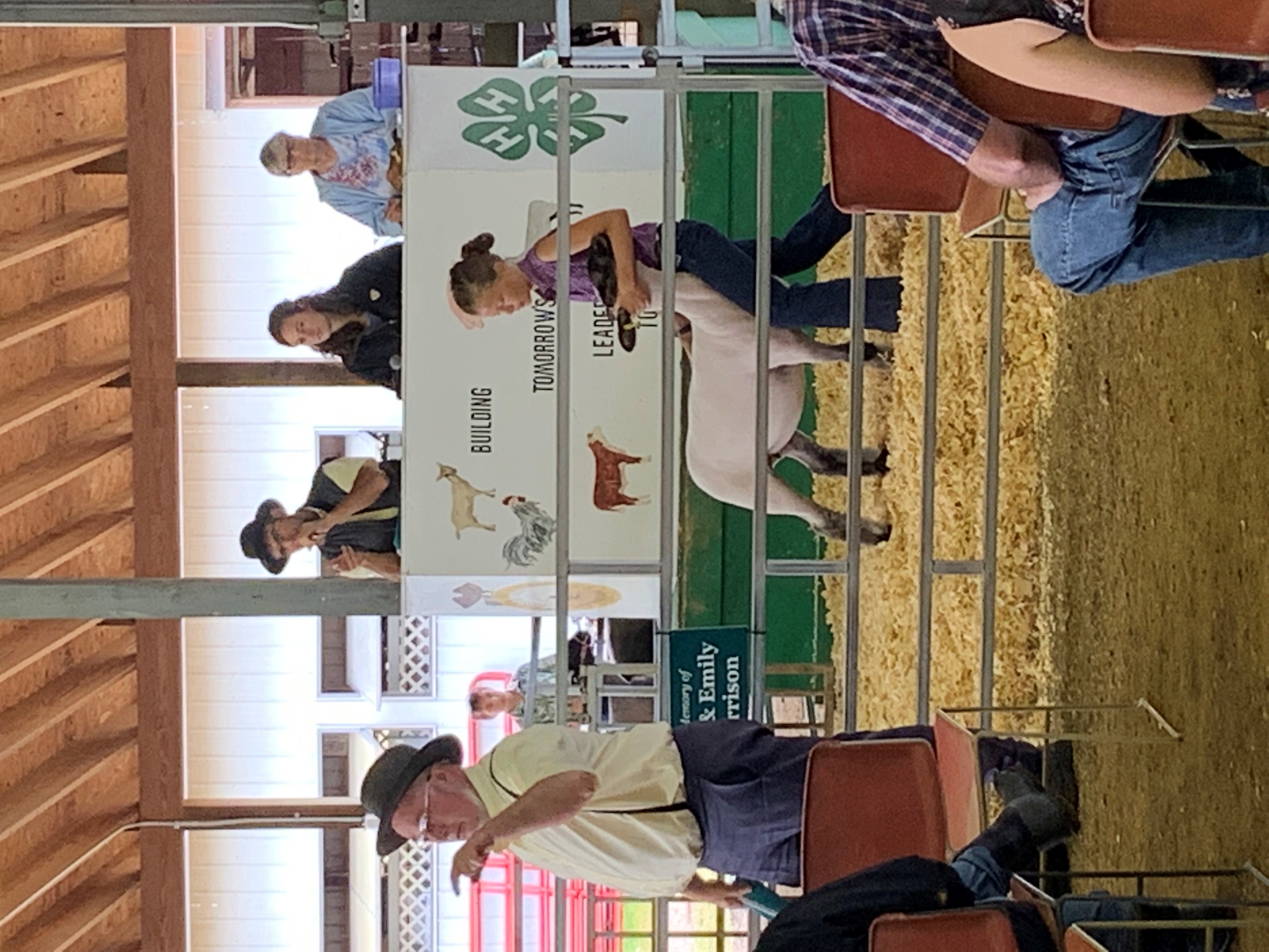 Participant selling an animal at a 4-H auction
