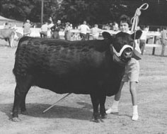 Janet Blanchard as a youth with her cattle project