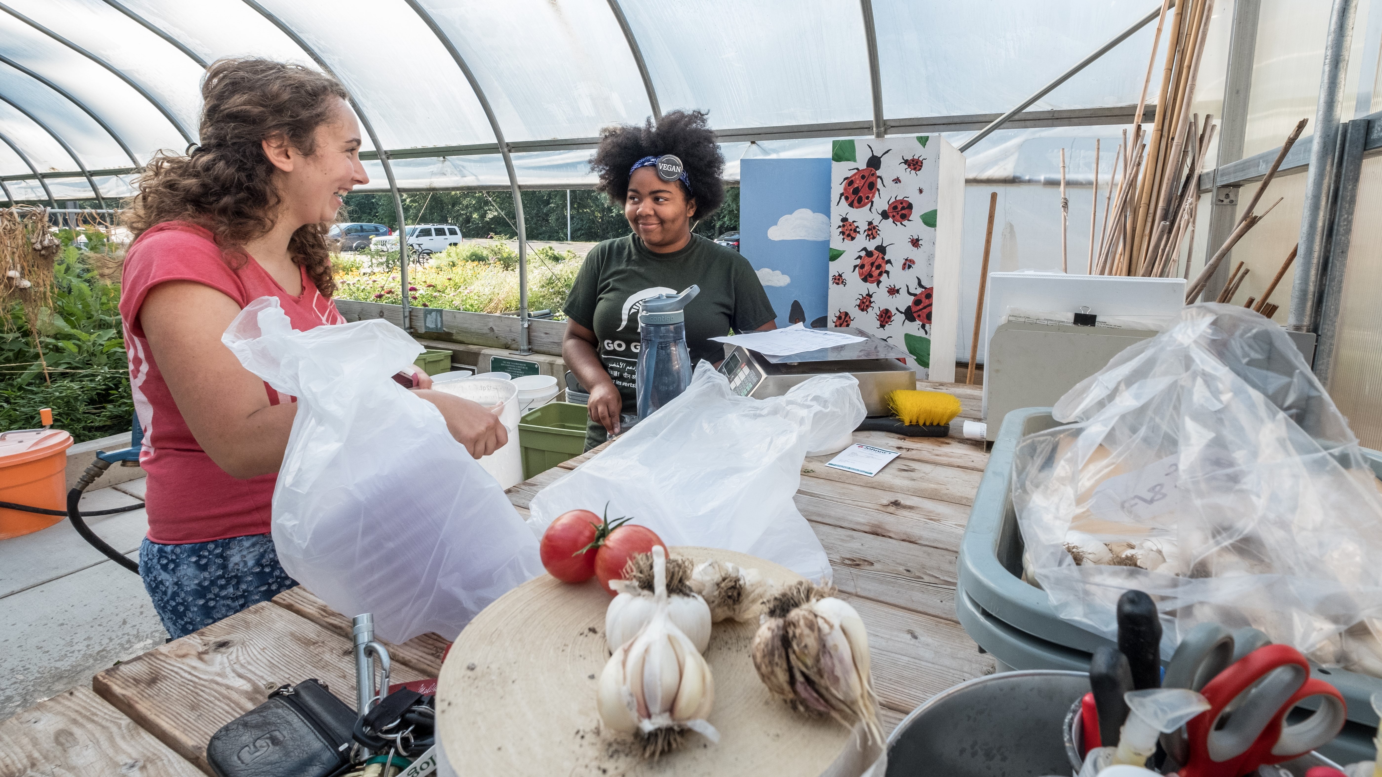 Two people talking about flowers and vegetables in a greenhouse