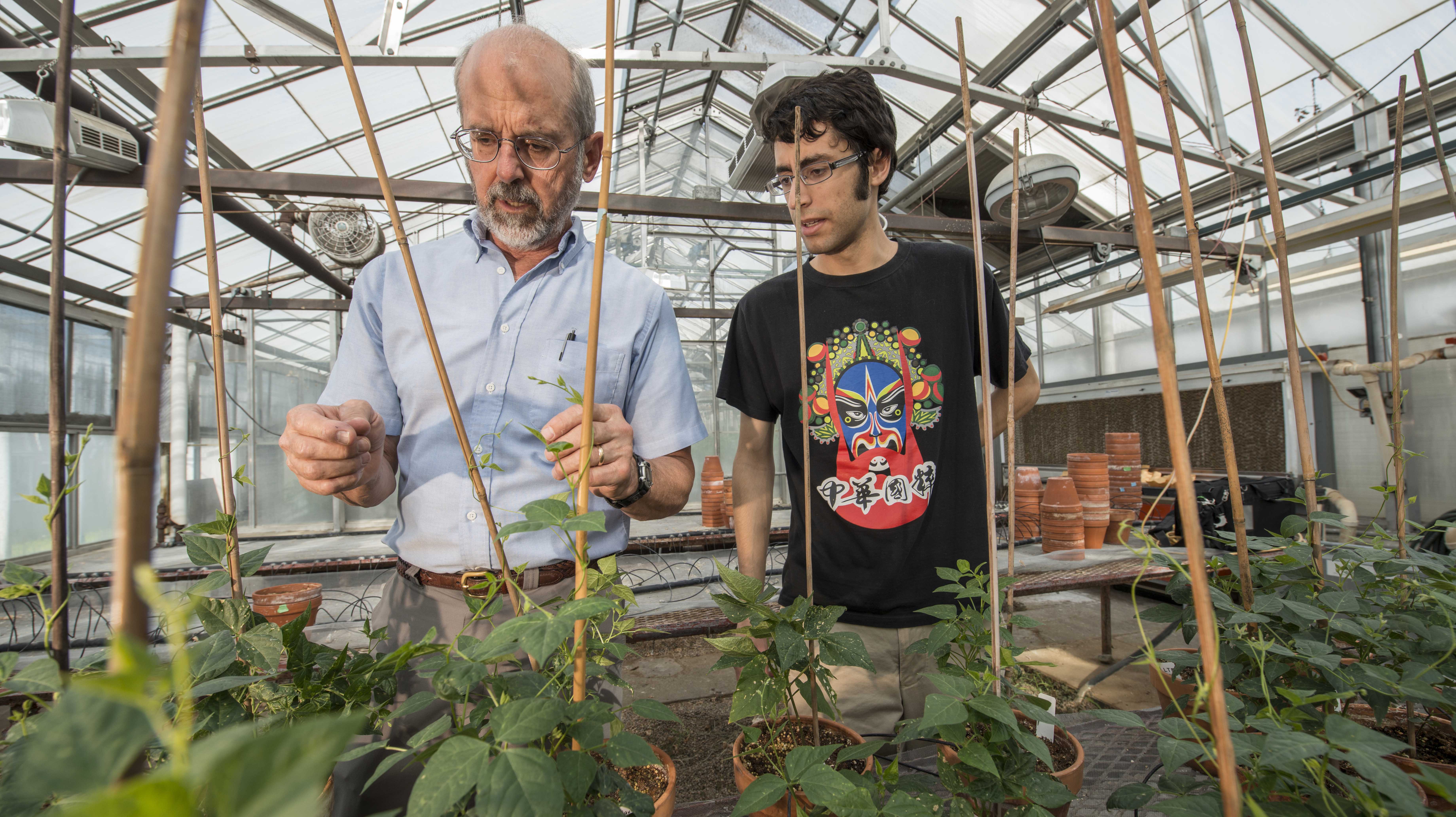 Programas académicas requeridos para la Licenciatura en Ciencias en Horticultura