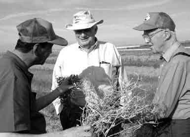 Byerlee_with_Borlaug_v1