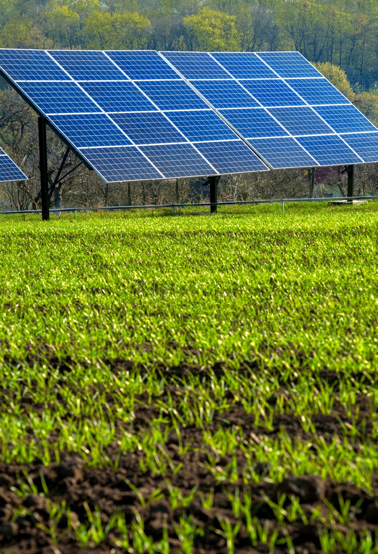 Solar panels are mounted in a field.