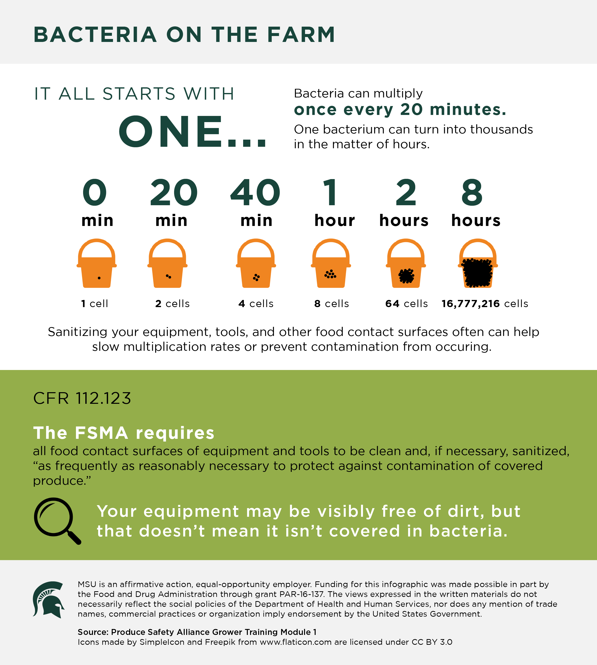 Bacteria Infographic