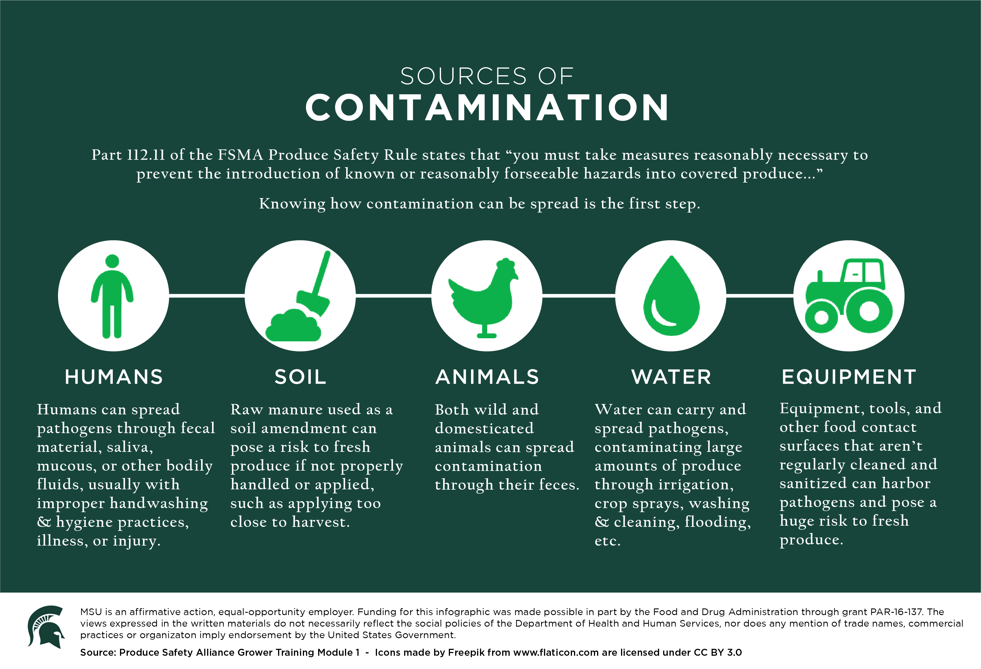 Routes of Contamination Infographic