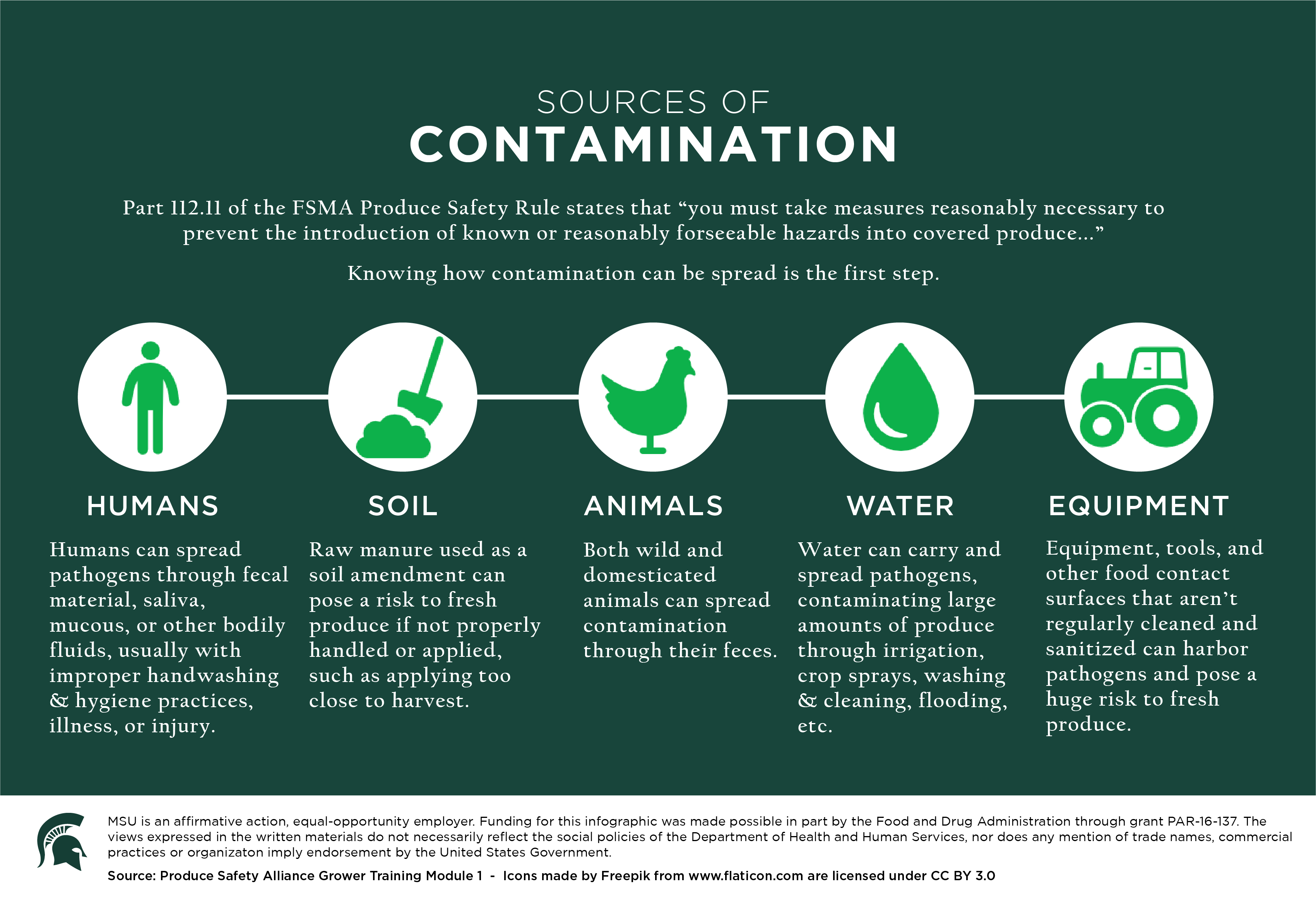 Contamination Infographic Agrifood Safety