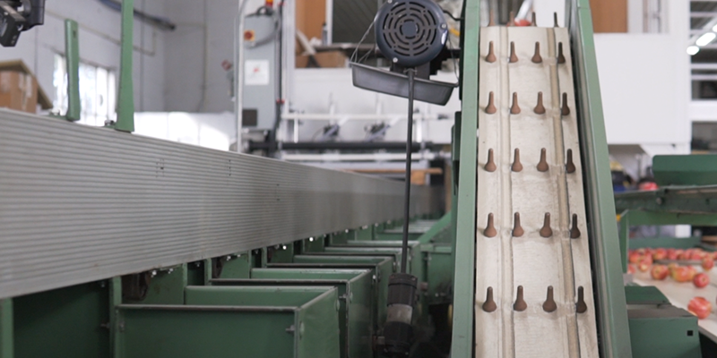 Equipment in a packhouse