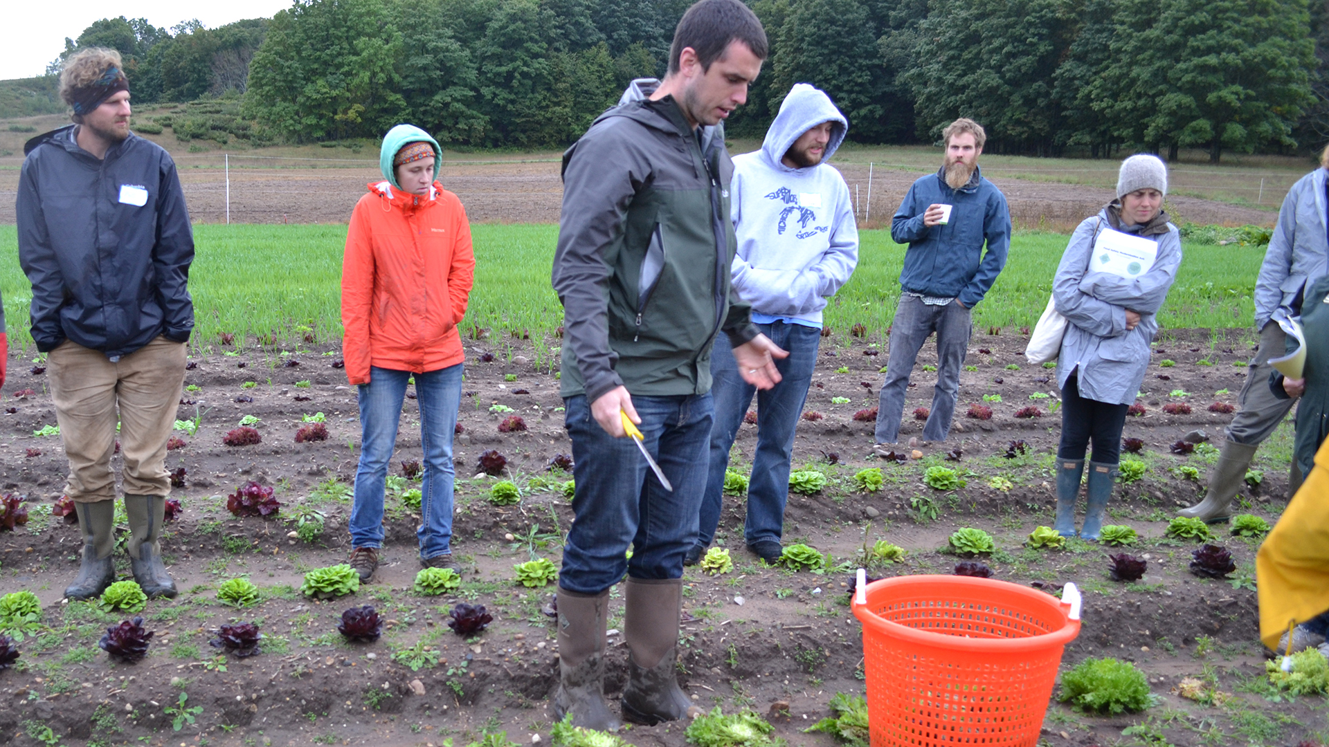 Person training a group of people