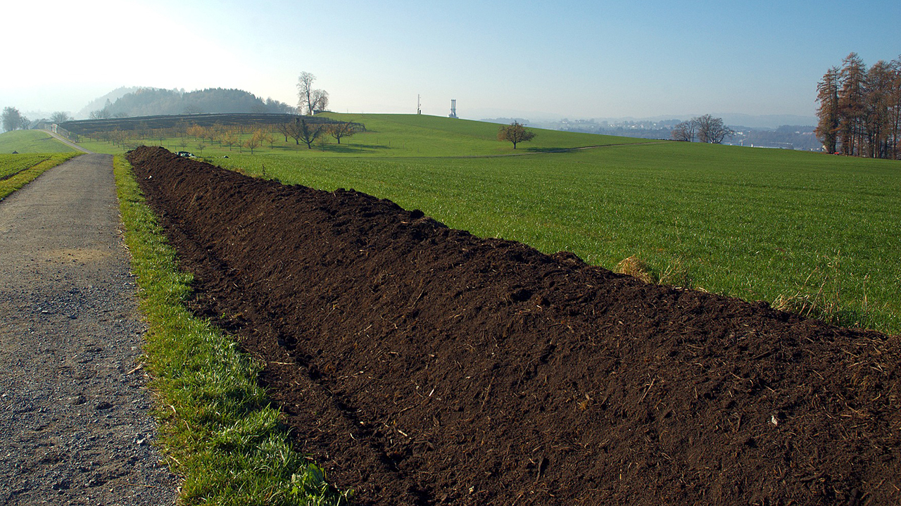 Compost Pile