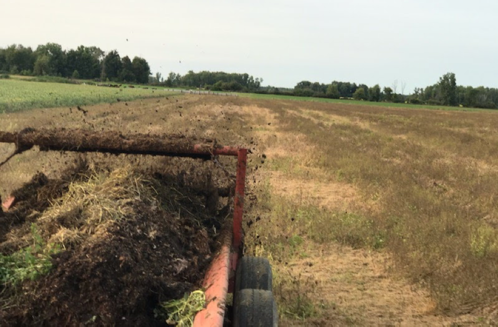 Managing Risks When Using Raw Manure... Is it a Crapshoot? - Agrifood
