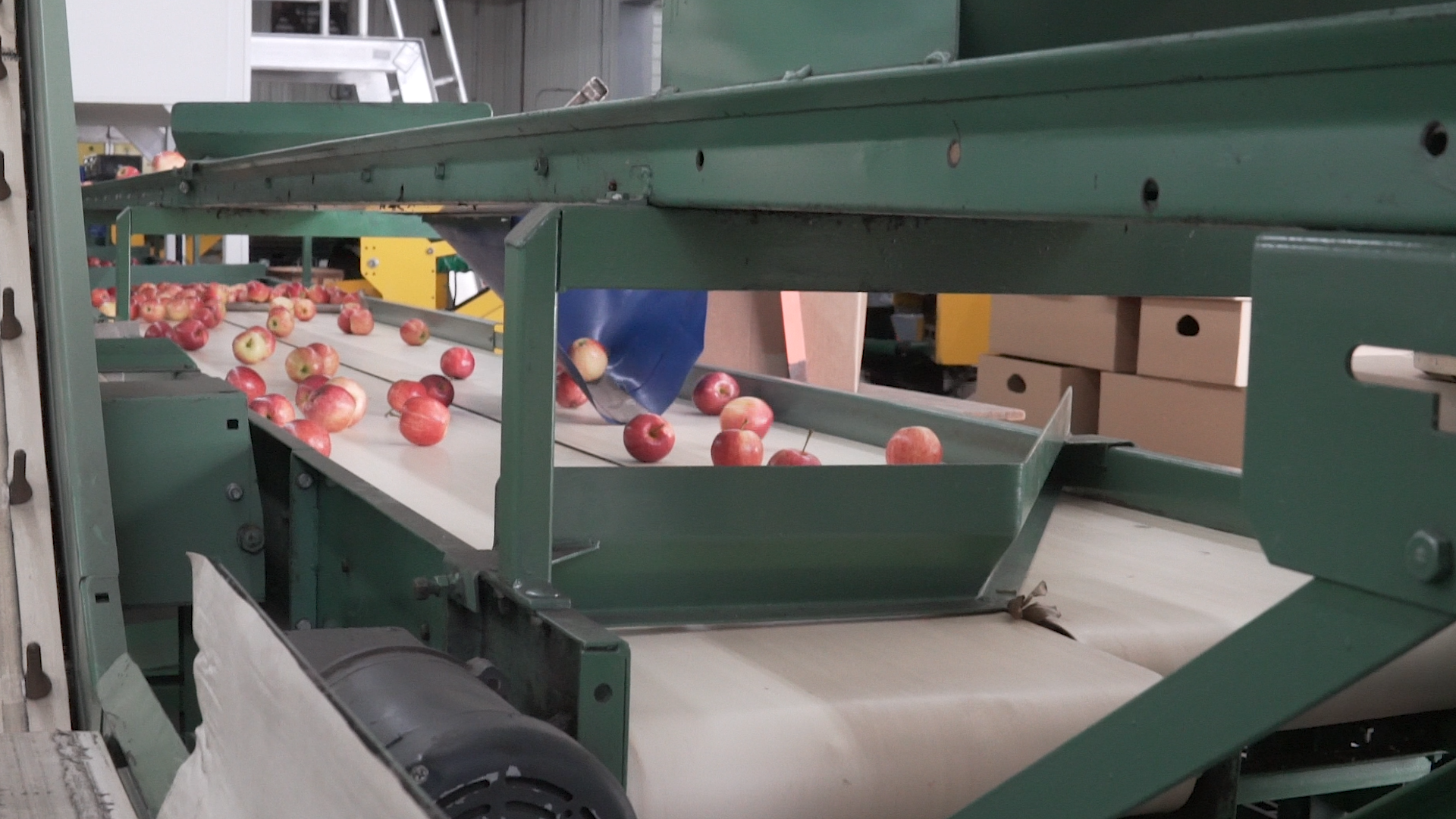 Equipment in a packhouse