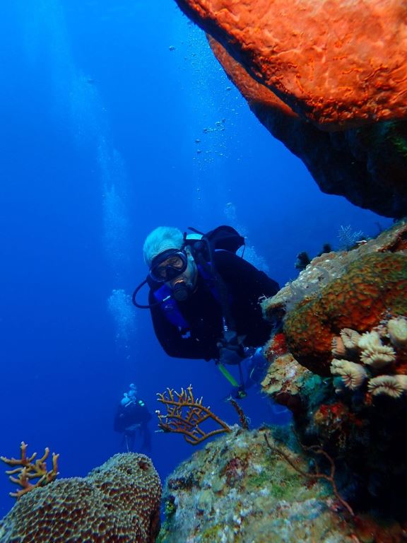 Kent Taylor scuba diving.