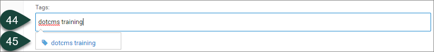 Tags field showing both a typed tag and a resulting pre-existing tag that is available for selection.