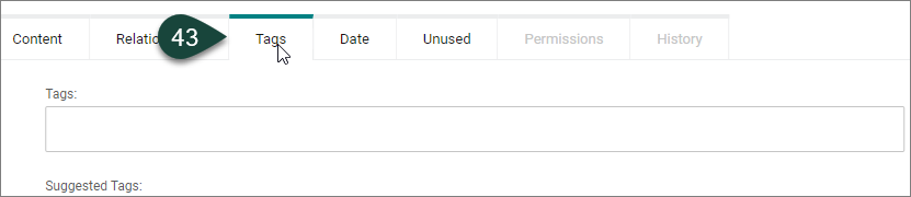 The Tags tab and it's Tags and Suggest Tags fields.