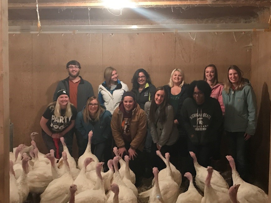 Turkeys and students