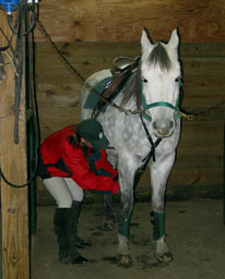 horse and student