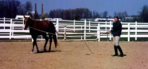 horse and student in arena