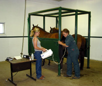 students and horse