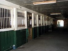 stalls