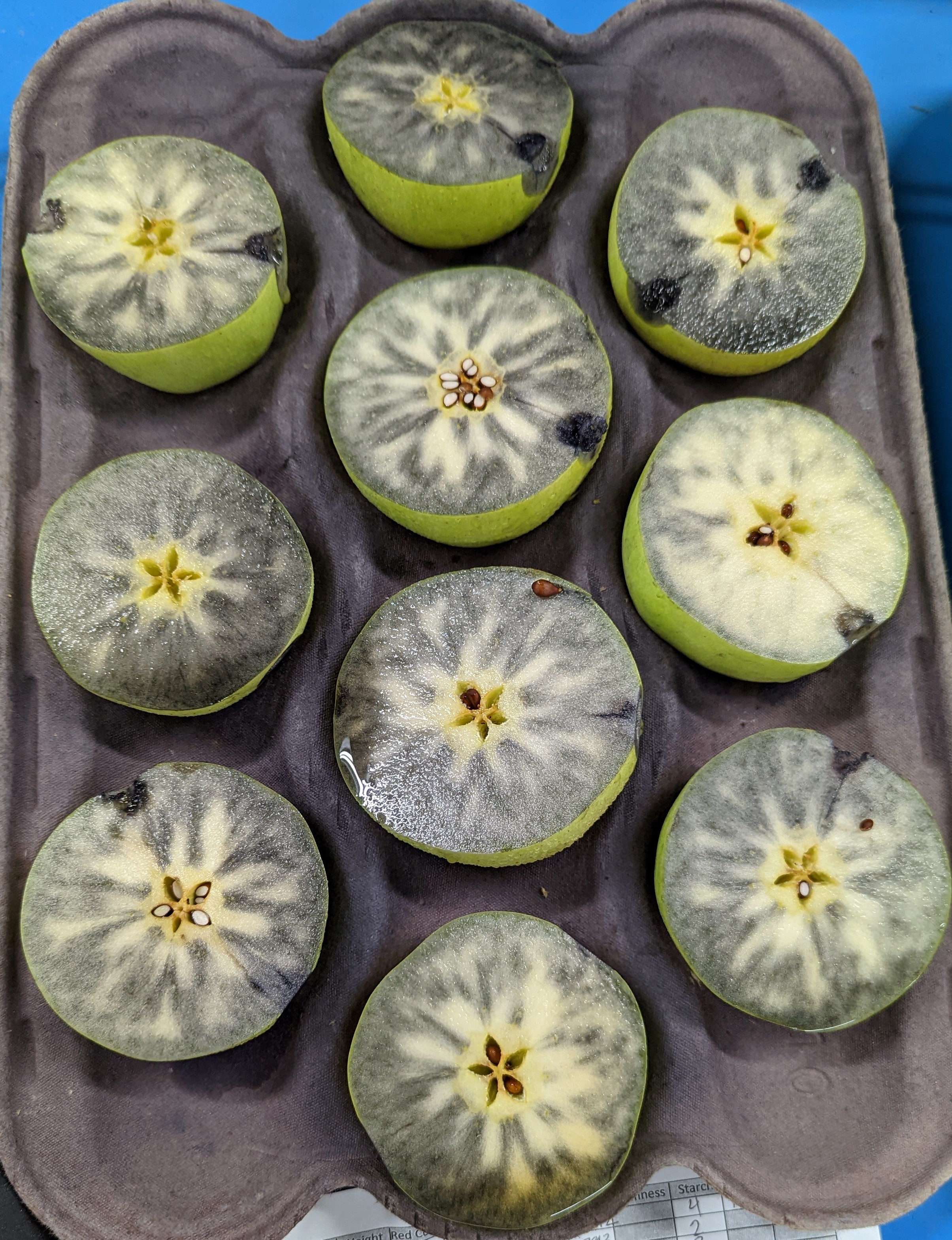 Golden delicious apples stained with iodine, showing unique starch staining pattern.